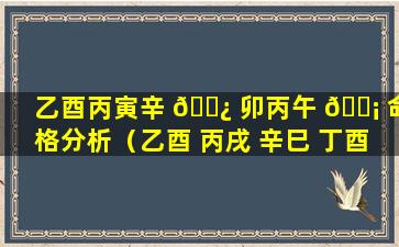 乙酉丙寅辛 🌿 卯丙午 🐡 命格分析（乙酉 丙戌 辛巳 丁酉）